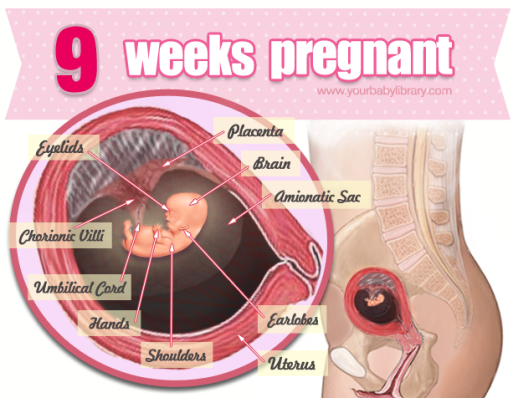 9 weeks pregnant miscarriage statistics